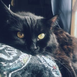 Meet your Posher, Denise